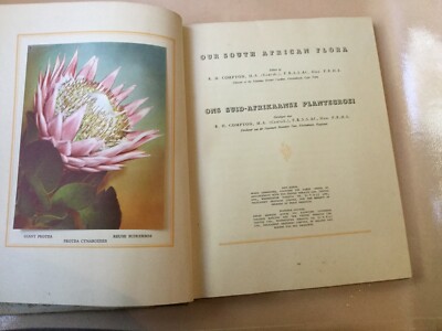 our south african flora cigarette cards Our South African Flora. Cigarette card album. 1940