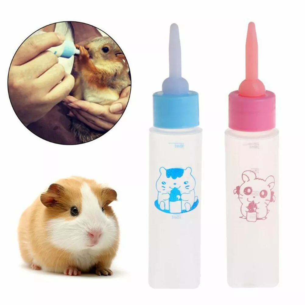 Squirrel hotsell nipple bottle