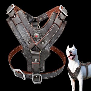 extra large dog vest