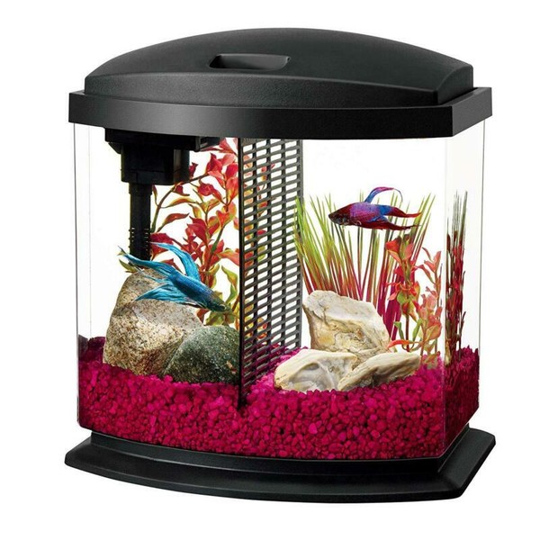 Betta Fish Tank Bowl Aquarium Kit 2.5 Gallon With Divider for 2 Bettas