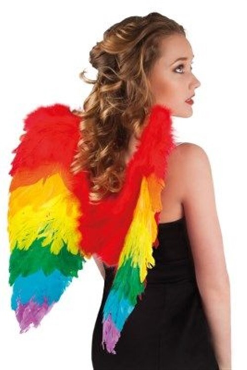 Adult Rainbow Angel Feather Wings Fairy Pride Fancy Dress Accessory
