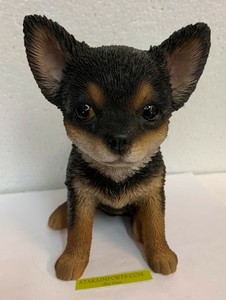 ebay chihuahua puppies