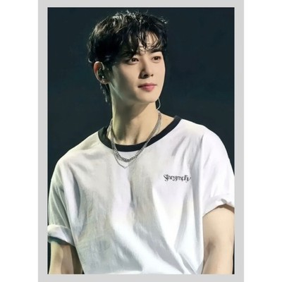 [AS2013: CHA EUN-WOO]/ASTRO Photo L version