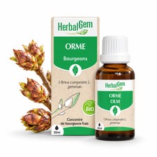 Bourgeon d'Orme Bio HerbalGem – Macérat-Mère Concentré – 30 ml
