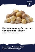 Alexandr Antunesh Brum (U. A.) | Razlozhenie Substratow Solnechnym Gribom | Buch