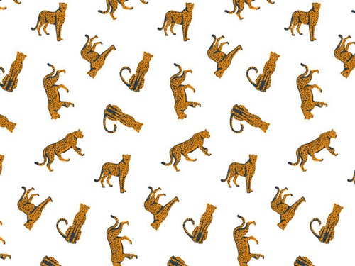 CHEETAH Design Tissue Paper Sheet Choose Size & Package Amount