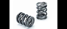 Supertech SPR-H1021D Dual Valve Springs Kit Honda F20C F22C K20A2 K20Z1 K20Z3