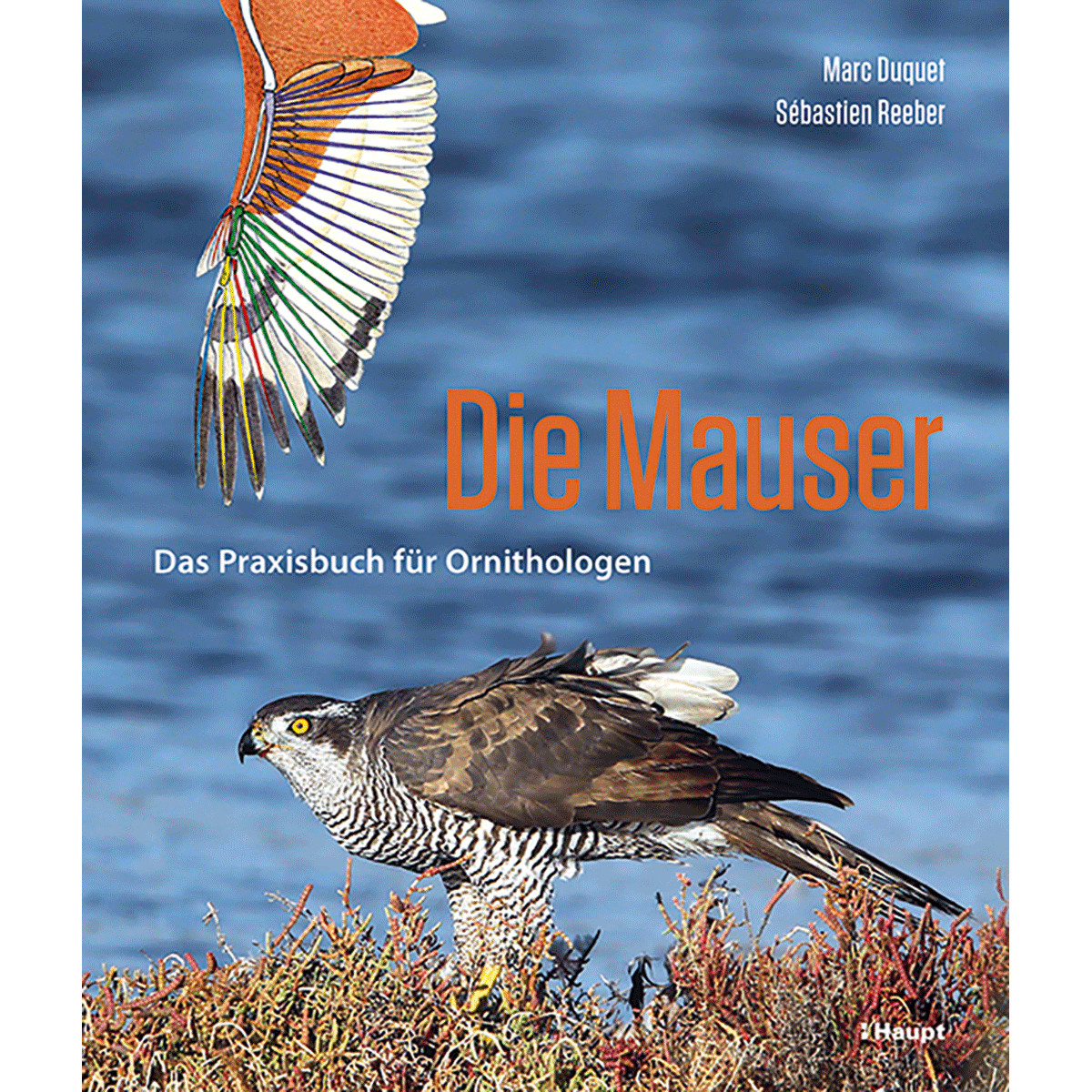 Die Mauser. Das Praxisbuch Für Ornithologen. Marc Duquet
