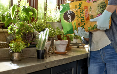 Miracle-Gro Cactus, Palm & Citrus Soil, Great for Succulents, 8 qt | eBay