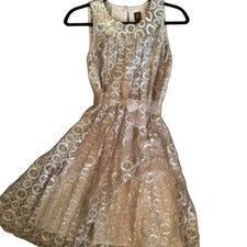 NWT Anthropologie Y2K Party Special Occasion Silver & Gold Lace Dress  Size 4