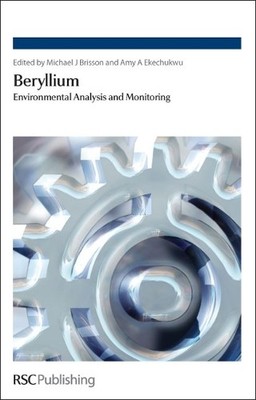 Amy A Ekechukwu Beryllium (Hardback)