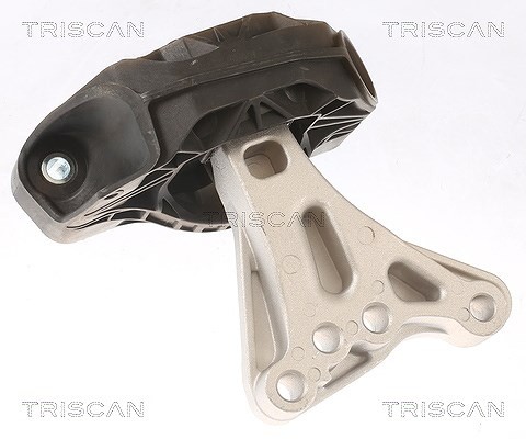 Triscan Lagerung, Motor Rechts U.A. FüR CitroËN, Ds, Peugeot-image