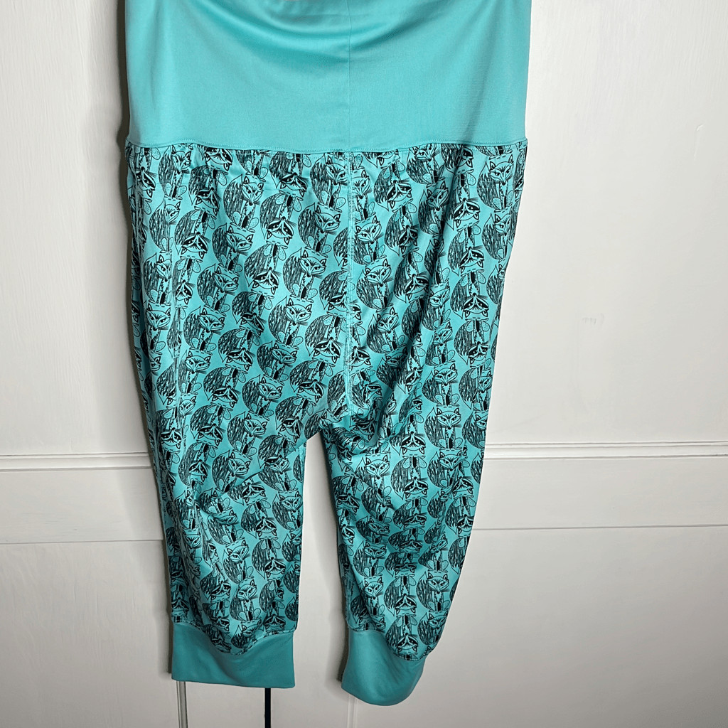 The Northface Fox Cropped Drawstring Joggers Teal… - image 5