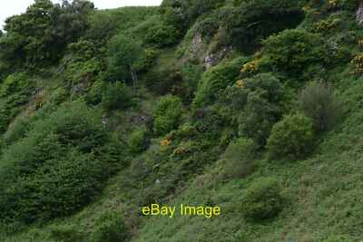 Foto 6x4 Rosemarkie Beach: Klippenwand neben dem Hillockhead Cliff Path c2016