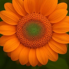 Digital Image Picture Wallpaper Background Desktop Art Download