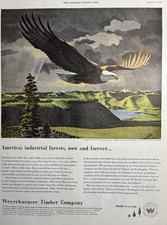 1952 Weyerhaeuser Timber Company Forests Bald Eagle Industrial Vintage Print Ad