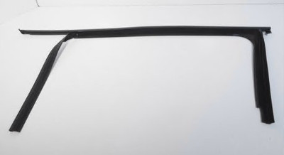 Volkswagen Tiguan MK3 Tür Fensterführung vorne links 571837439A5AP NEU ORIGINAL