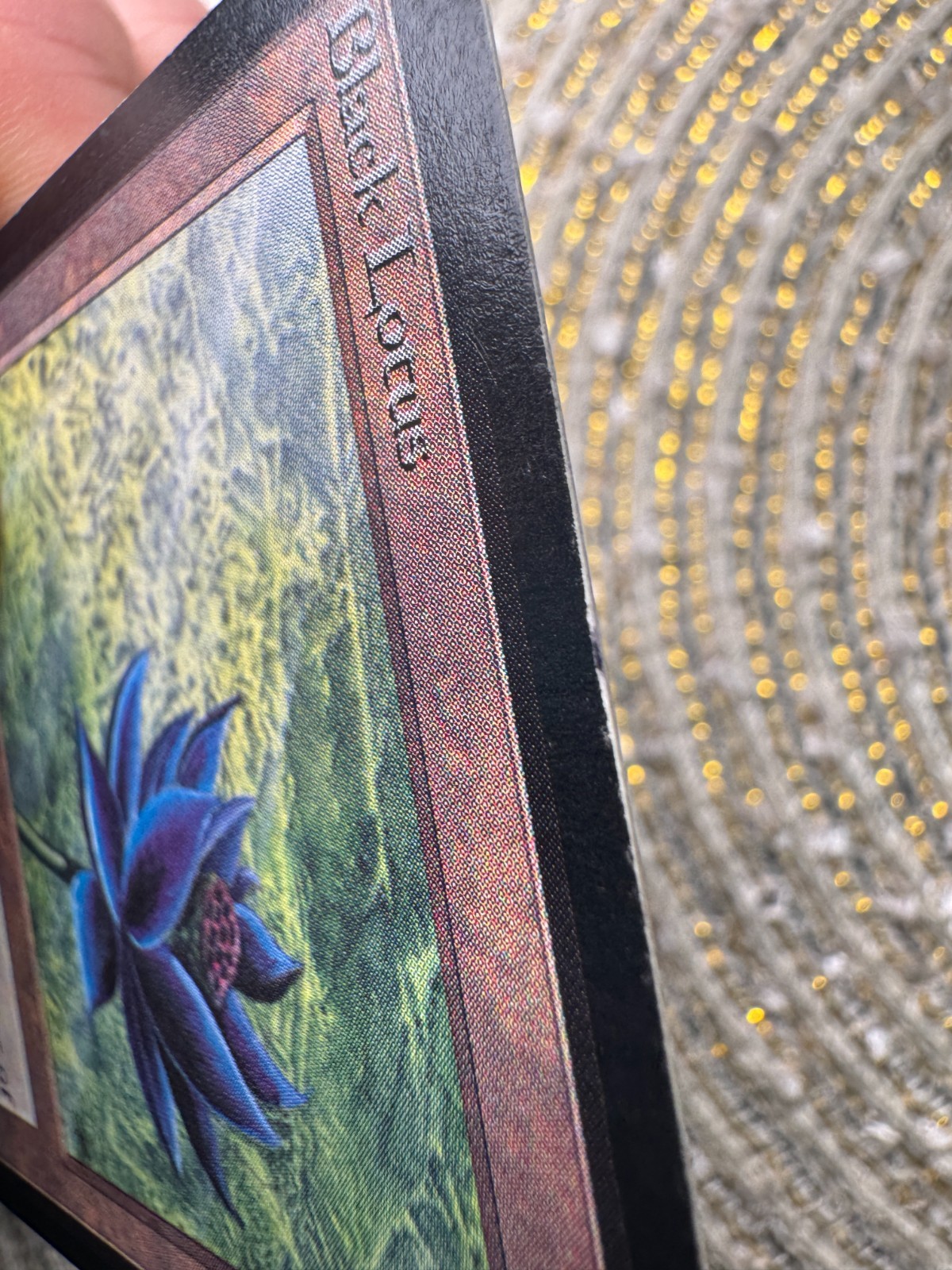 1993 Magic the Gathering MtG - Limited Edition: Beta - Rare - NM - Black Lotus view 9