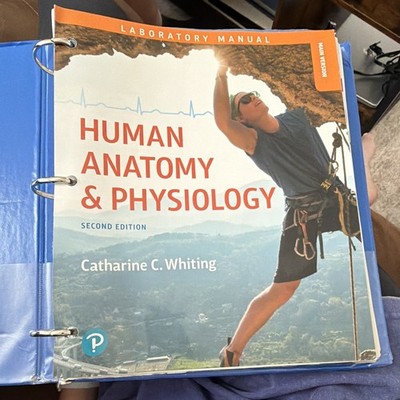 Pearson Human Anatomy & Physiology Laboratory Manual 2nd Ed Ringbound 2017