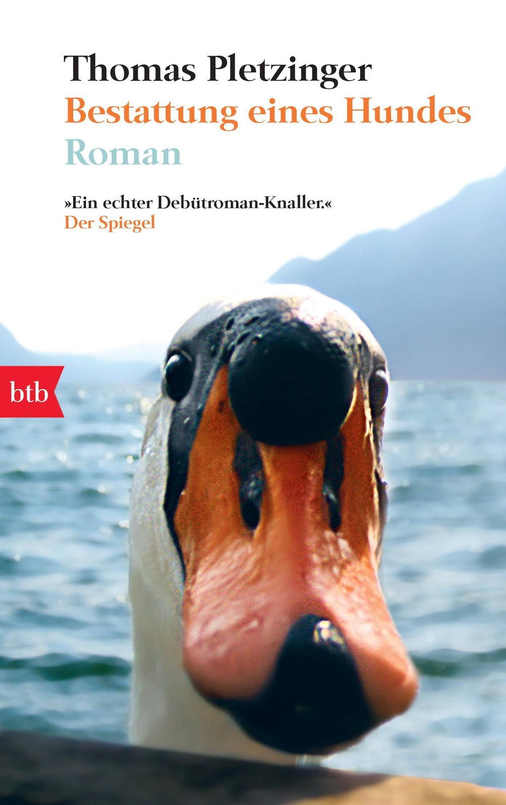 Bestattung eines Hundes Thomas Pletzinger - Bild 3