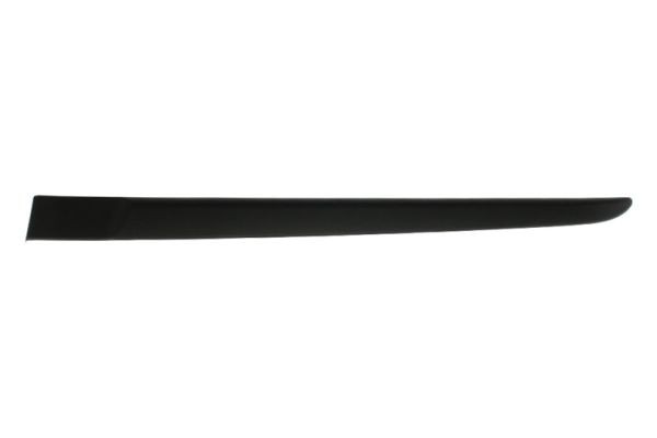 Left Rear BLIC 5703-04-6033573P Trim/Protection Strip, wing for RENAULT
