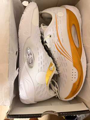 Li-Ning Wade 808 2 Dynasty Low (Size 12)