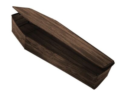 60'' Coffin Lid RIP Graveyard Dracula Dead Halloween Prop Haunt Wooden-Look Tomb