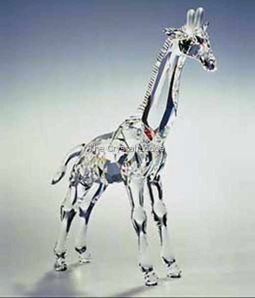 SWAROVSKI CRYSTAL GIRAFFE BABY 236717 MINT BOXED RETIRED RARE | eBay
