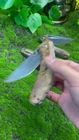 Video 1 von 1