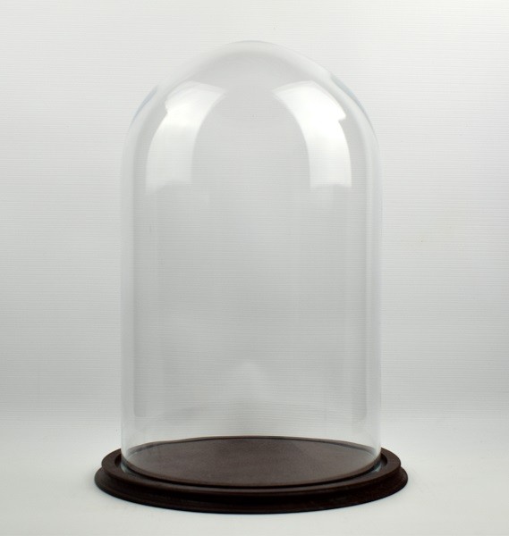 Clear Circular Glass Dome With Brown Vintage Wooden Base H:40x 25 cm