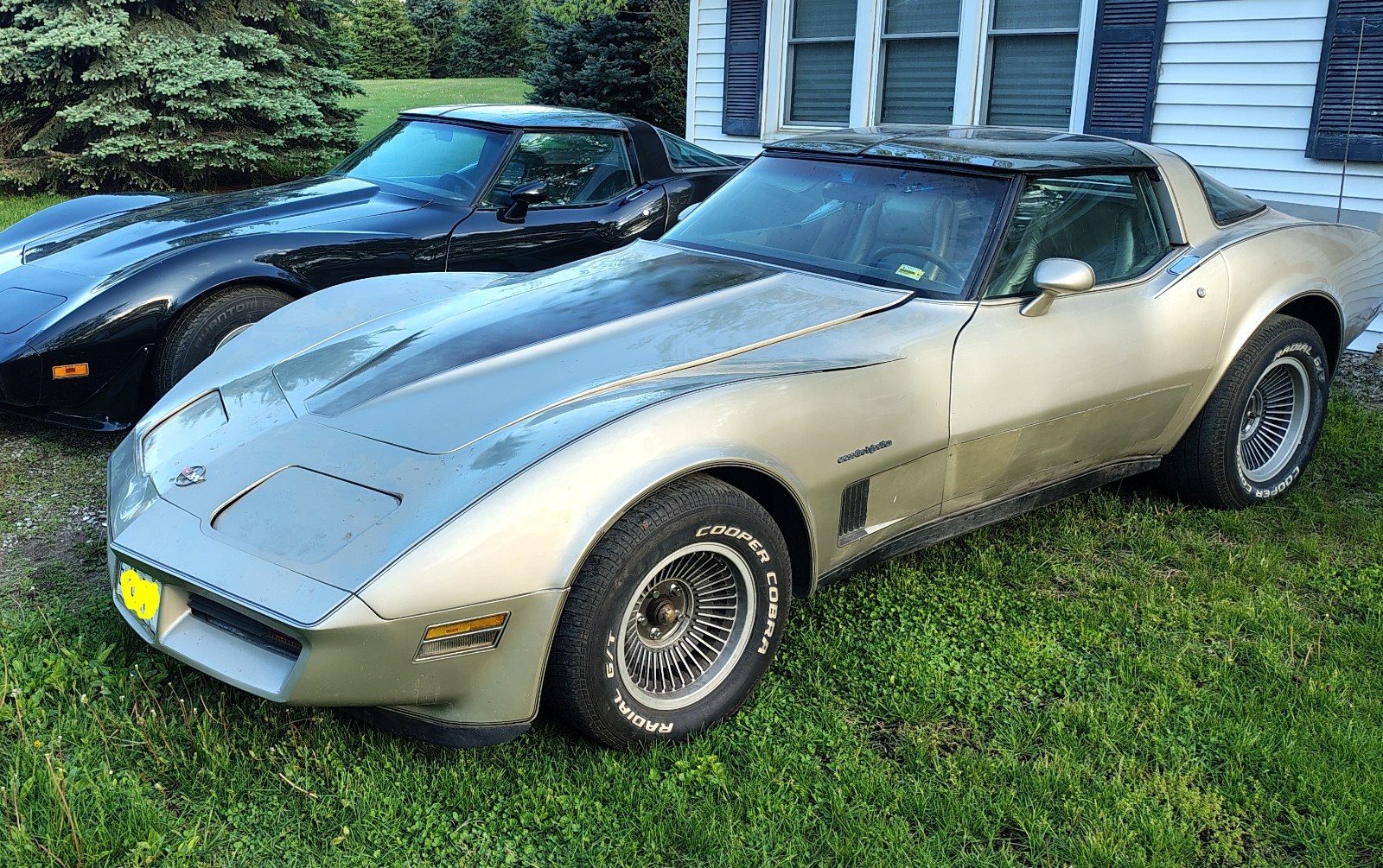 1982 Chevrolet Corvette for sale in Des Moines Iowa