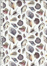 Cream Coastal Living Shells by Timeless Treasures bty