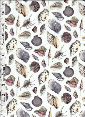 Cream Coastal Living Shells by Timeless Treasures bty