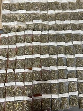 QTY 1 TRADESHIP BRASS PINION GEAR MODULE 0.5 PITCH 14 TEETH .078" BORE SLOT CAR