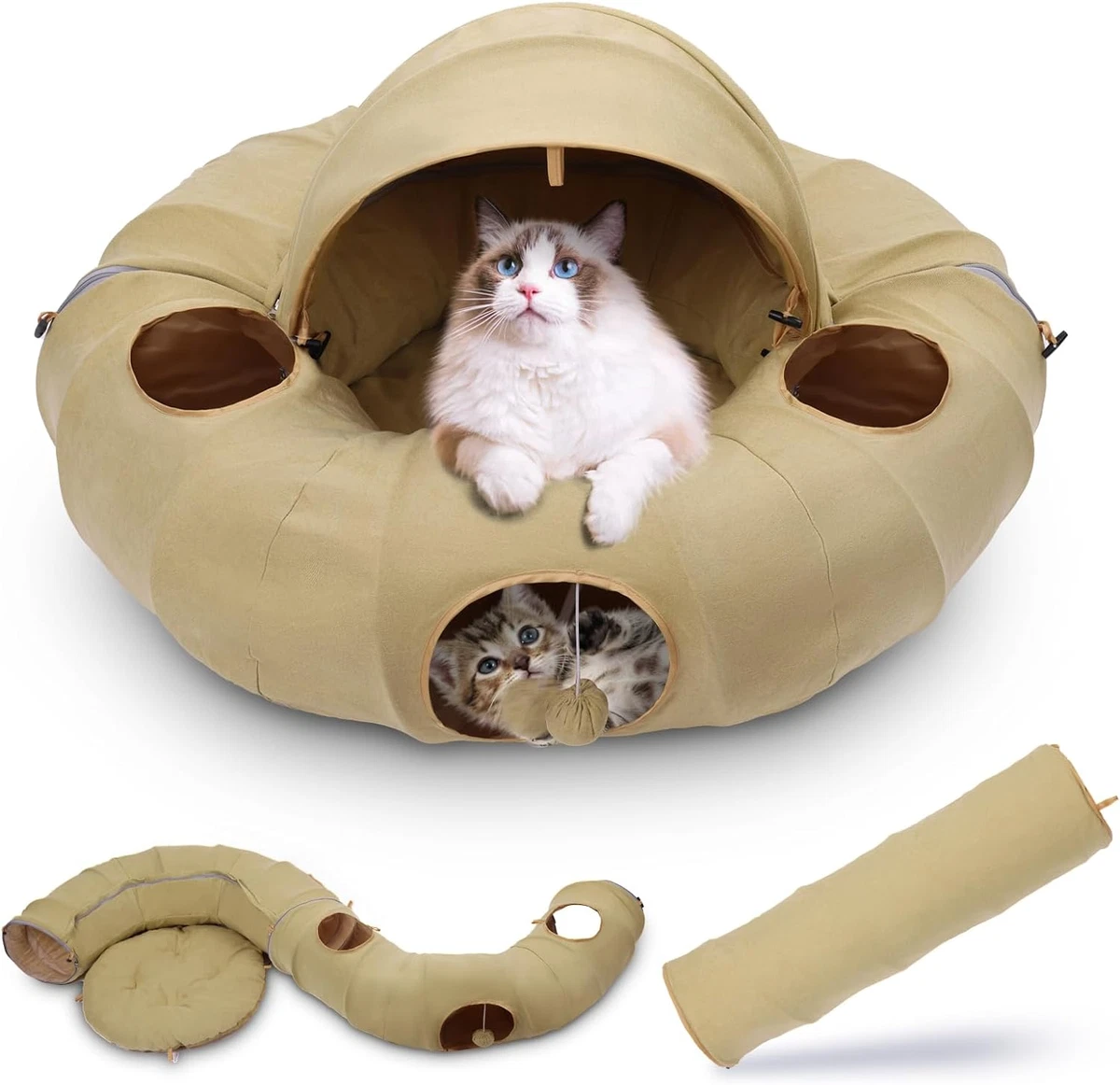 Cat top tunnel indoor