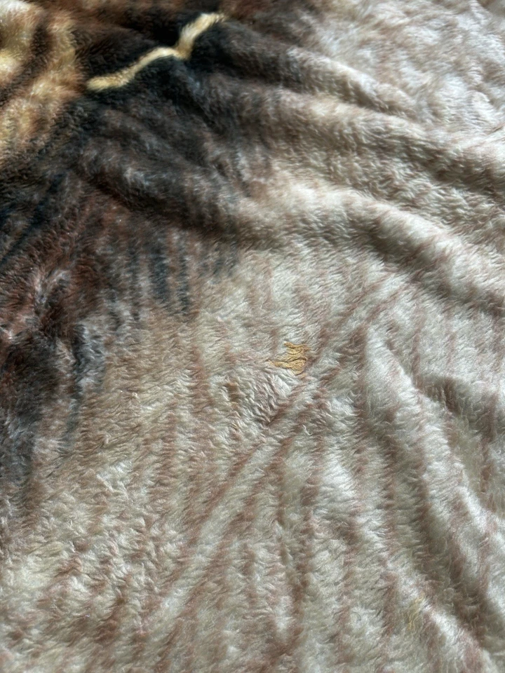 Manta Visón Coreano Liso León Talla King Estampado Animal Solaron Foto 3 de 4