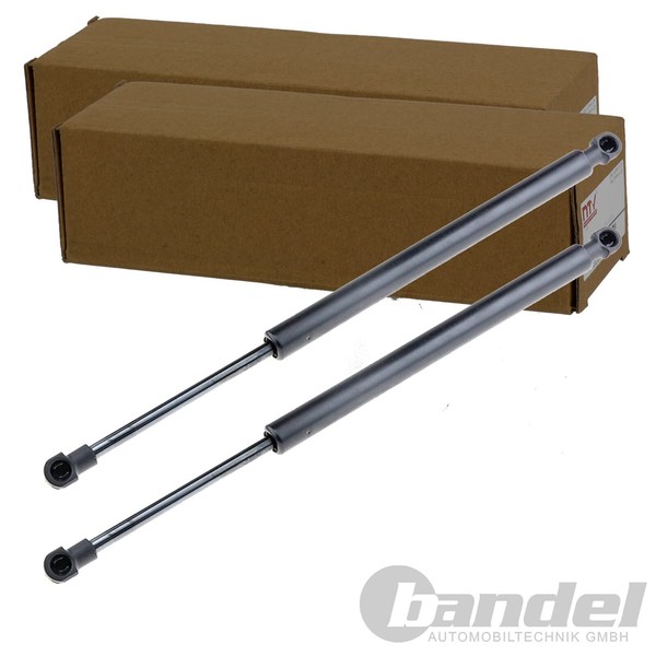 2X NTY Gasfedern KOFFERRAUM-LIFTER Passend FüR Alpina B3 D3 BMW 3 | AE-BM-015-image