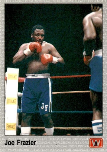 Vintage AW Sports 1991 All World Boxing Premier Edition Single Cards - You Pick - Picture 134 of 225