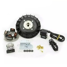 KIT ACCENSIONE ELETTRONICA 12V PINASCO VOLANO 1,4 Kg CONO 20mm VESPA PK 50 FL HP