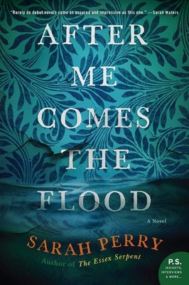 After Me Comes the Flood: A Haunting Debut Psychological Thriller   A Book...
