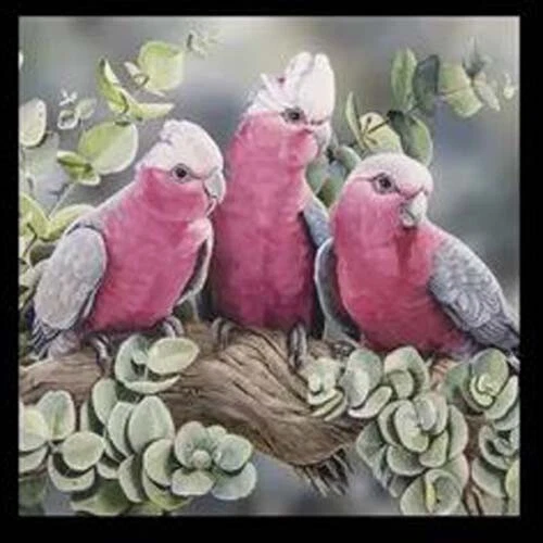 Patchwork Quilting Sewing Fabric Galah Cockatoo Lorikeets Panel 40x110cm - image 2 of 4