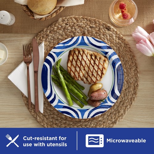 Hot Sale Ultra Disposable Paper Plates, 10", Multi-Color, 100 Count - Picture 10 of 10