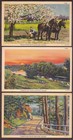 (3) Ashland, Maine Fun & Colorful Antique Linen Greeting Postcards