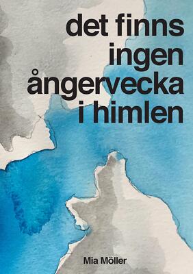 Det finns ingen ångervecka i himlen | Buch | 9789175691190