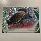 2026 Topps Disney Neon - Crush & Squirt Finding Nemo Snow Cap Parallel Card #82