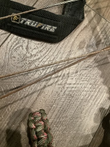 BEAR compound bow RANT - Picture 9 of 19