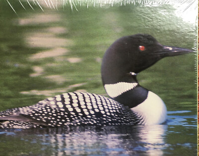 Loons ~Jigsaw Puzzle by Down East 550 pieces Cape Shore USA 18x24  Cabin Woods