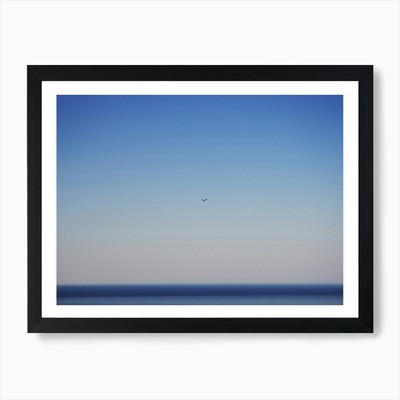 Free Flight Art Print Framed Wall Art Poster Canvas Print Picture