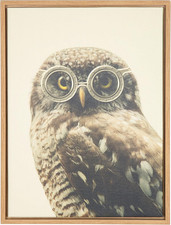 Sylvie Owl Wearing Glasses Portrait Framed Canvas Wall Art by F2 Images, 18X24 N