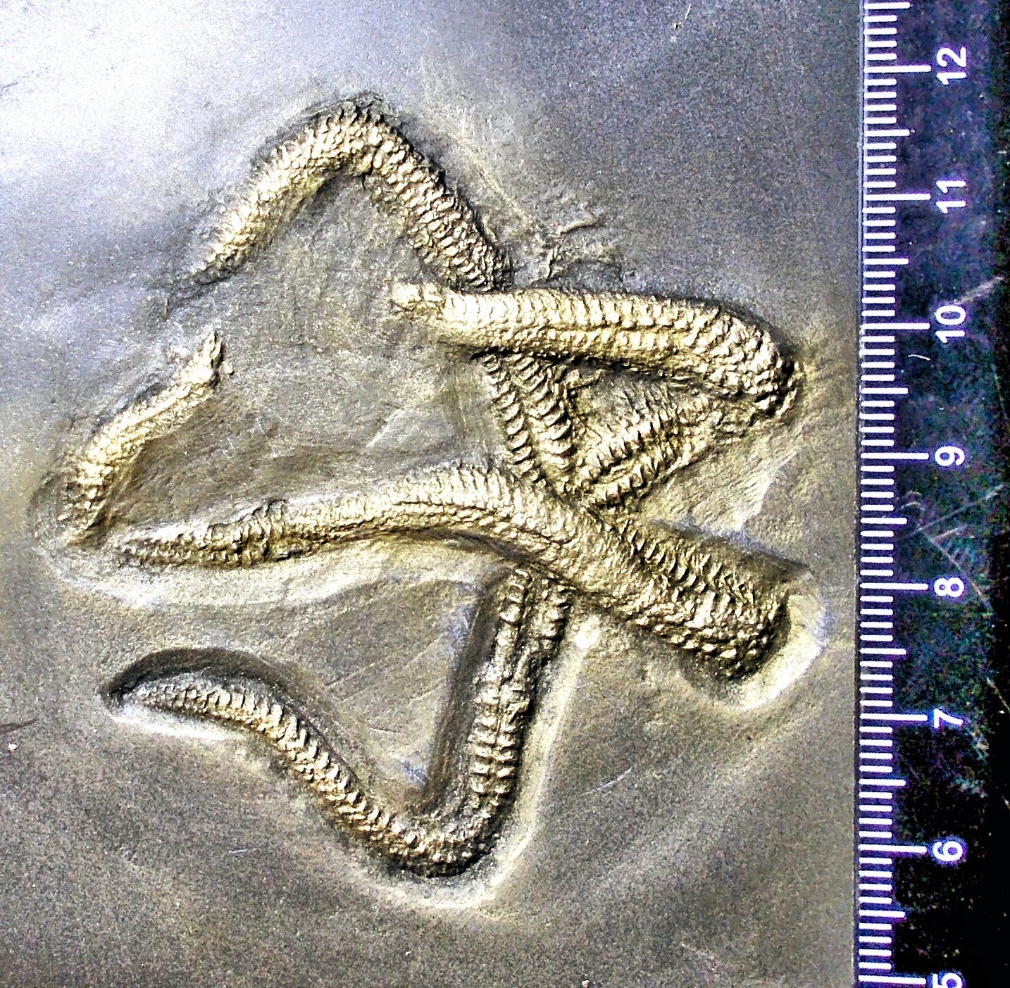 Picture 1 of 6